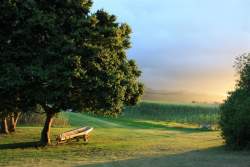After the rain