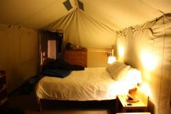 Cosy nights