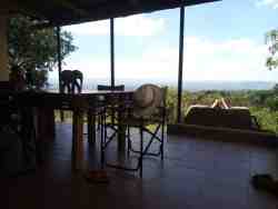 Bushwhacked Veranda