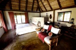 Figtree Lodge, bush cottage with gas fridge/ freezer gas stove and geyser romantically lit by LED Lights and lamps. Plunge pool.