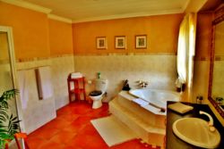Presidential Suite bathroom