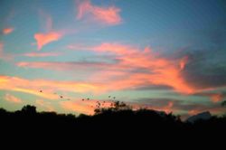 Sunset