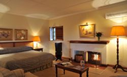 Guest Room - Executive Suite 