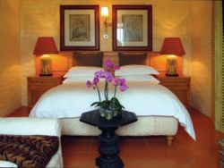 Safari Suite