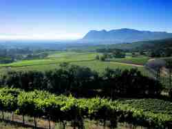 Constantia Valley - View towards False Bay