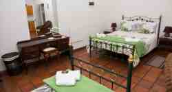 Fern Room 1