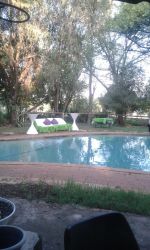 Cottage 1 and 2 shared pool