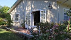 Petunia Place