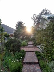 Sunrise up the garden path