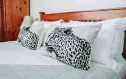 Standard Room with queen size bed
