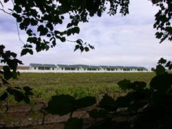 View of cottages