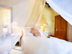 Room Nicolaas Maritz
Queen size bed en-suite Victorian bath