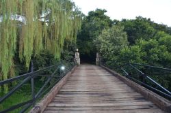 The Bridge