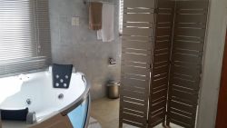 Deluxe Suite 2 with Jacuzzi 