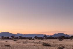 Desert Camp Units