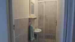 Shower with handbasin and mirror.
