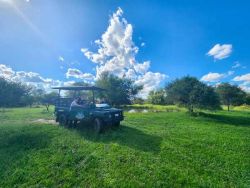 Game Drive