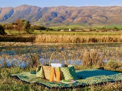 Dam Picnic