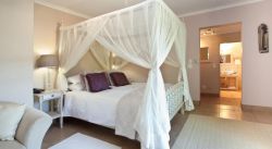 Lavender room