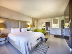 Executive King Room 