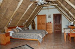 Easy five Double room Leopard