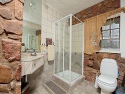 Lion Bathroom