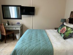 1 Bedroom Apartment - Unit 18