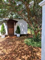Pine Tree Cottage