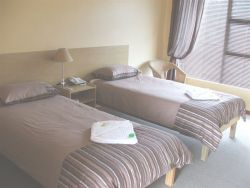 Twin room