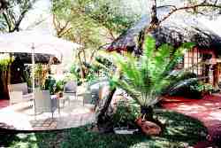Garden Area