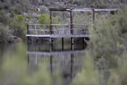 Dam for Bass fishing and swimming