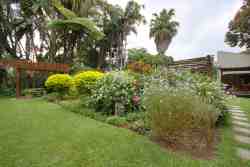 tranquil garden with plenty of birdlife