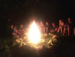 Bonfire Nights
