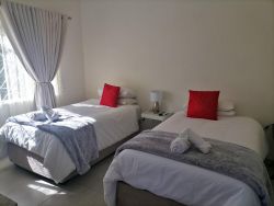 Basic Twin Room