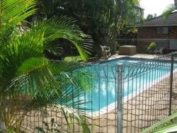 Flamboyant swimming pool