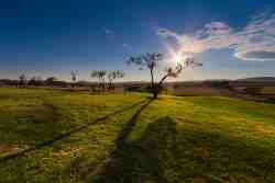 Open spaces 