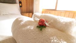 The queen sized bed is fitted with luxury linen and we provide fresh towels and a small treat to enjoy on arrival.