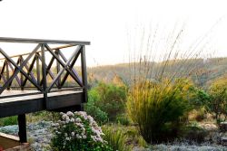 The Cabin's deck.