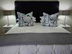 Palm Suite X