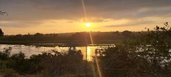 Foxy Crocodile Bush Retreat - View of River