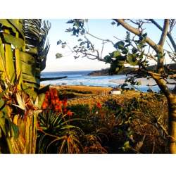 Our window to the world