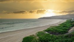 Wilderness beach