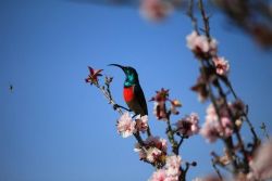 Abundant bird life