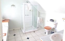 South Room bathroom with shower, Victorian bath & twin basins