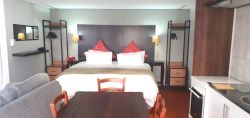 Big Studio - open plan with lounge/dining/kitchenette & bathroom with shower.