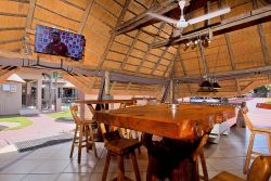 Bar/Patio Area