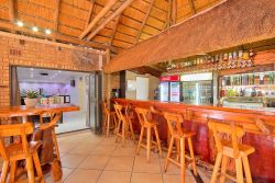 Bar/Patio Area