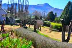 Garden/View