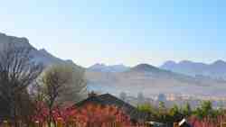 Garden/View