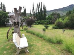 Garden/View